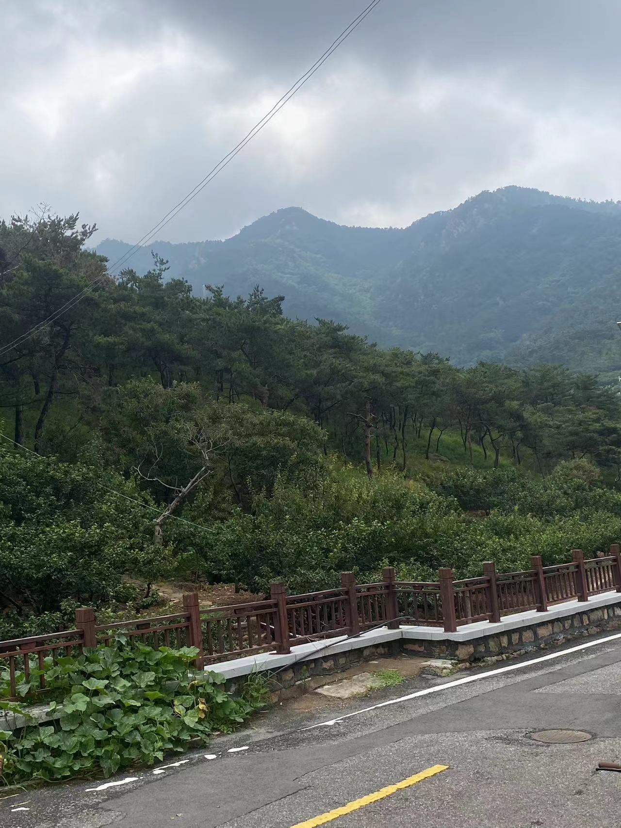 微信图片_20250716210215.jpg